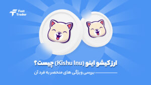 ارز کیشو اینو (Kishu Inu) چیست؟
