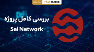 بررسی sei network